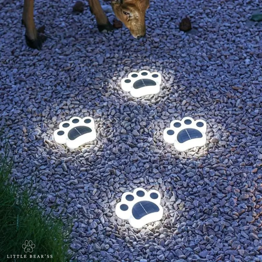 4 Draadloze solar Paws - Creëer de perfecte sfeer in jouw tuin!